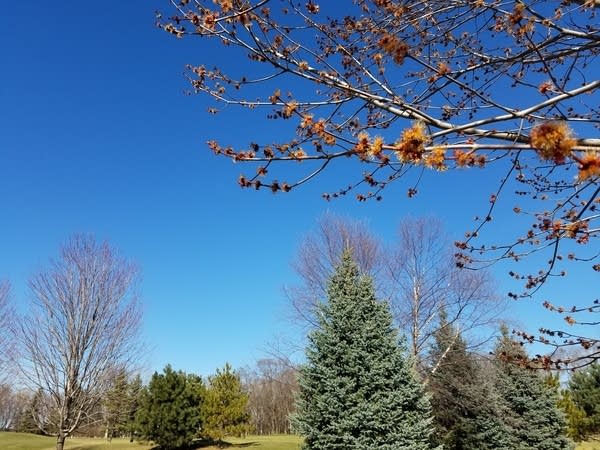 Spring sky 4-4-17