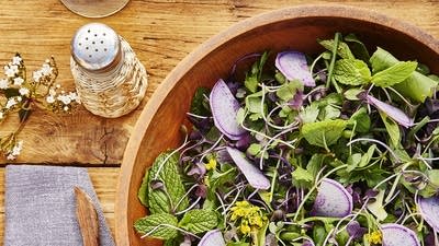 Seasonal Herb Salad