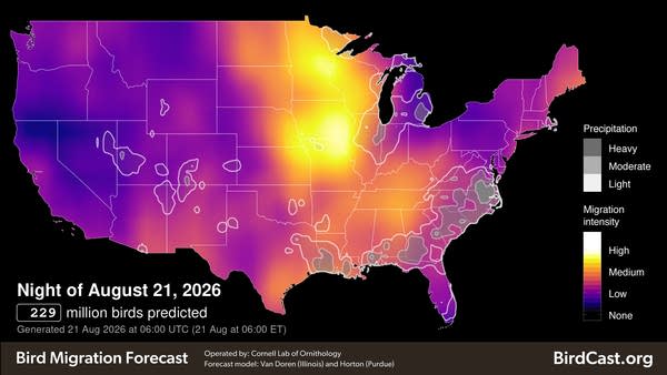 Yellow and purple map of America on a black background