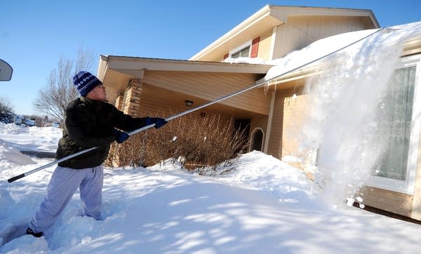 Snow rake