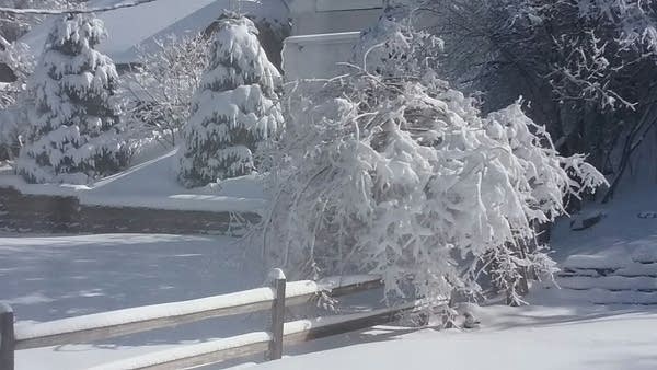 Sunday snowmelt. Major storm Tuesday-Wednesday.