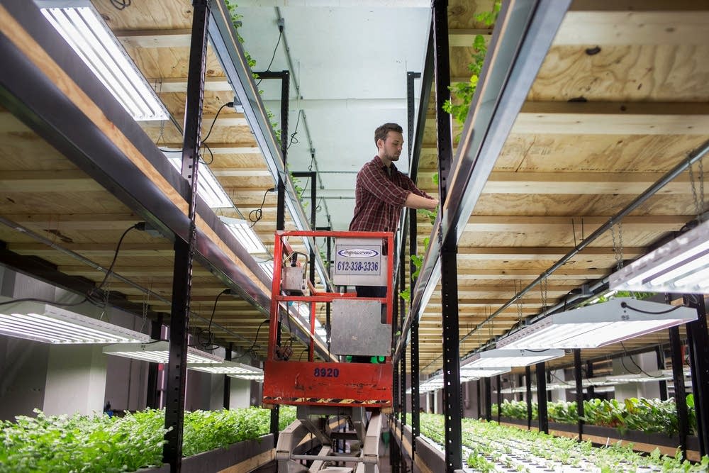 Farming