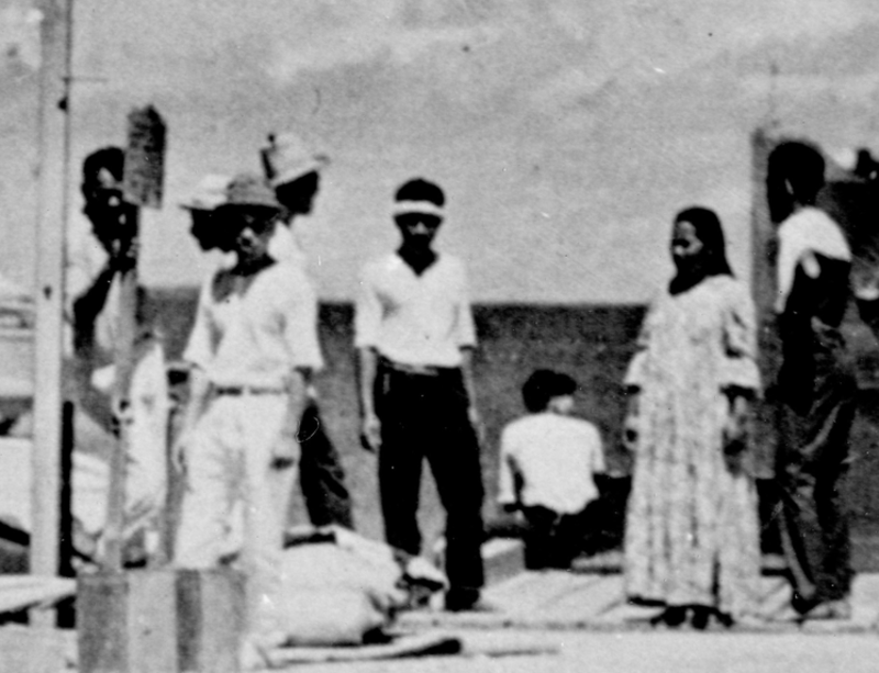 Does a newly discovered photo show Amelia Earhart survived a crash landing?