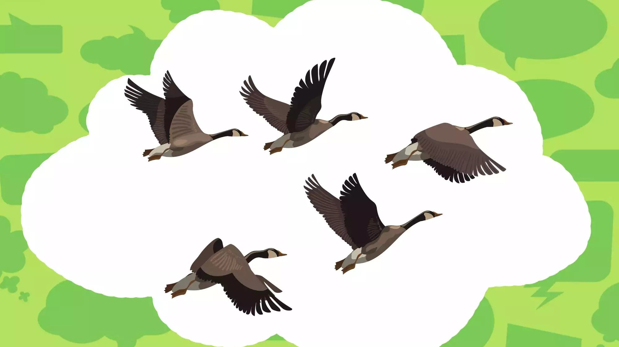 How do birds know when it’s time to migrate? Moment of Um