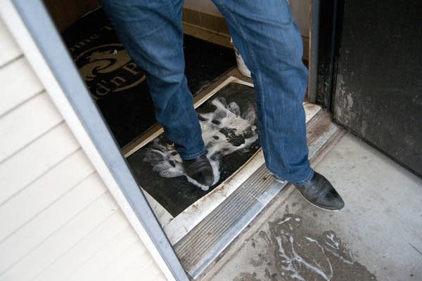 Roy Schneider passes through a shoe wash.