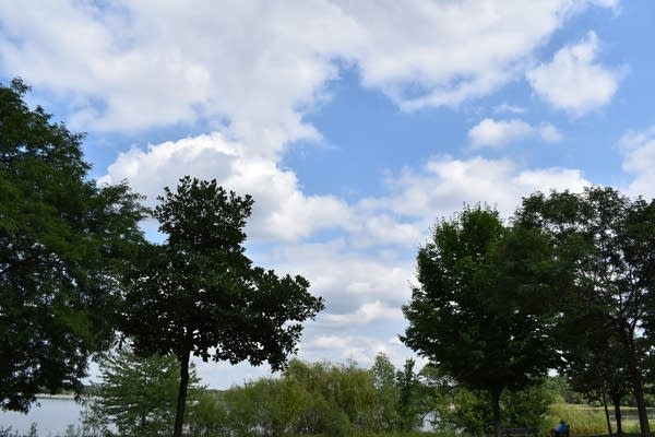 Areas of fog Sunday morning, then afternoon sunshine