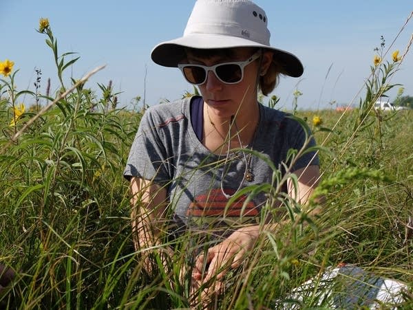 Genevieve Alexander plant identification