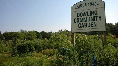 Dowling Community Garden