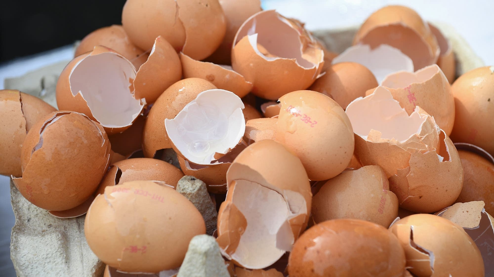 Cracking open the price-fixing scandal behind rising egg prices