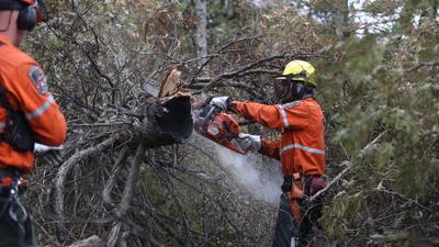 Firefighters work to battle the Stewart Trail wildfire.