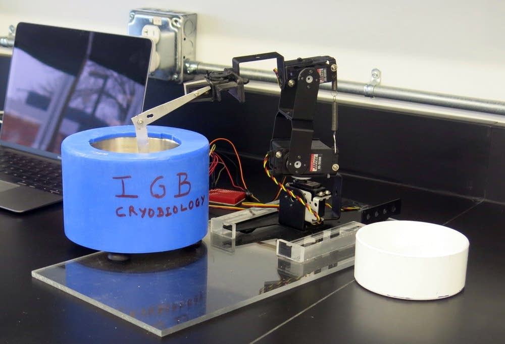 Robots handle the precise preservation process.