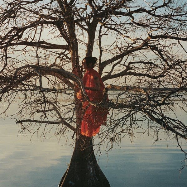 Gatlin - Florida Man