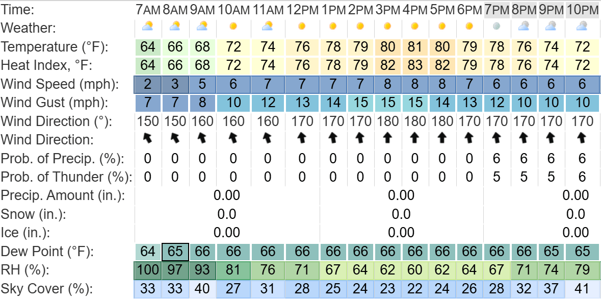 Thursday hourly forecast
