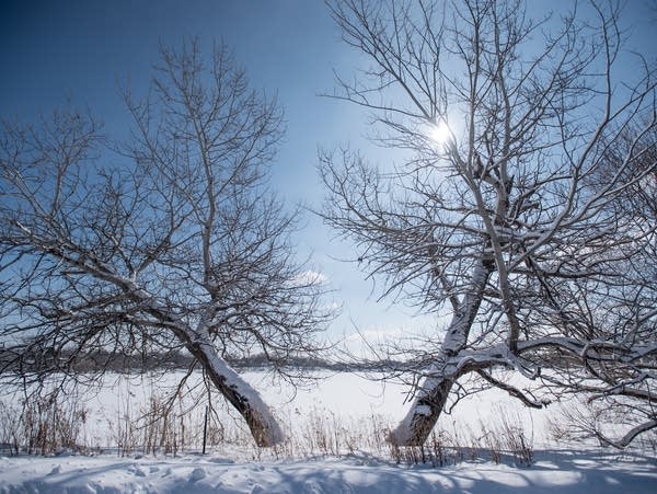 A winter scene at Como Lake in St. Paul