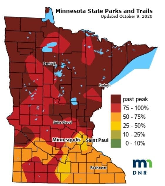 rt1009fallmn