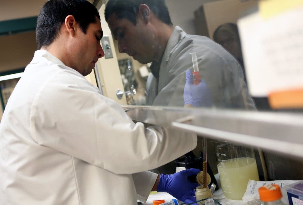 Preparing fecal bacteria