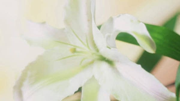 Mild Easter temps; Chance of a few scattered showers | MPR News