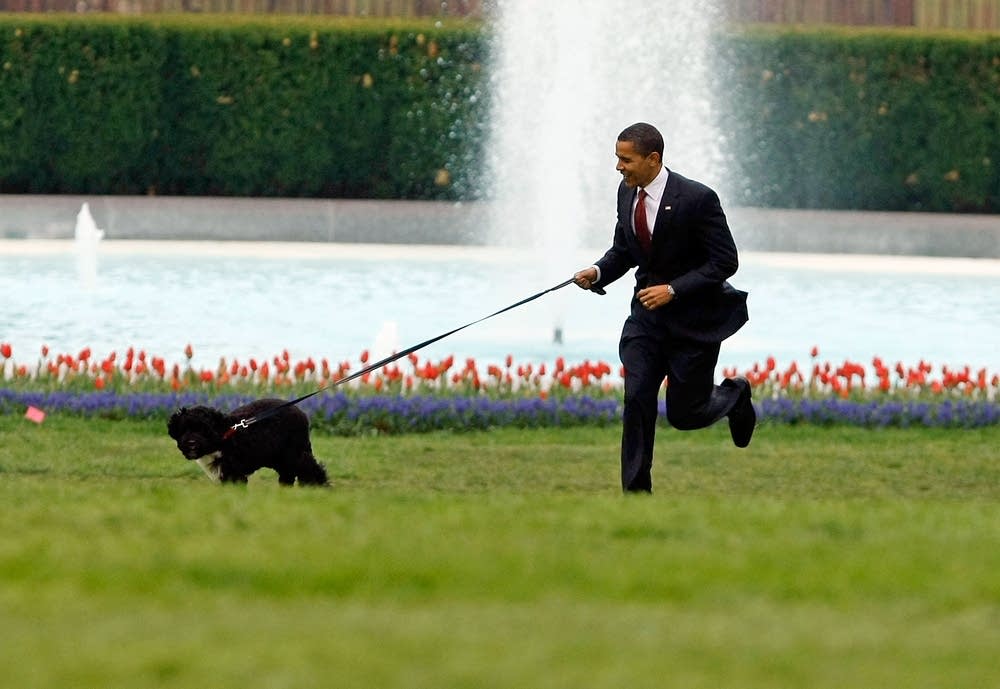 Obama and Bo