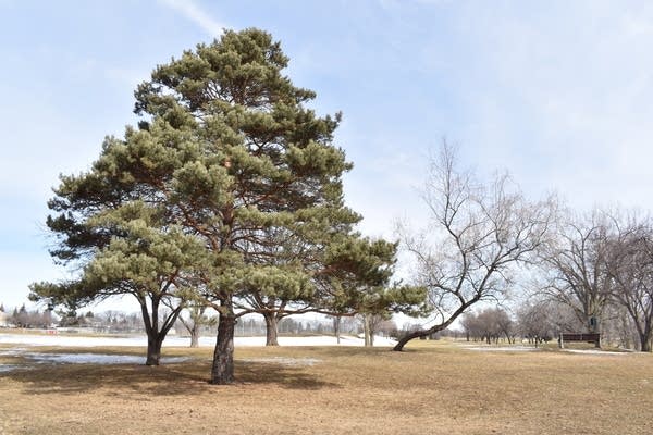 Spring arrives this weekend and temps ramp up