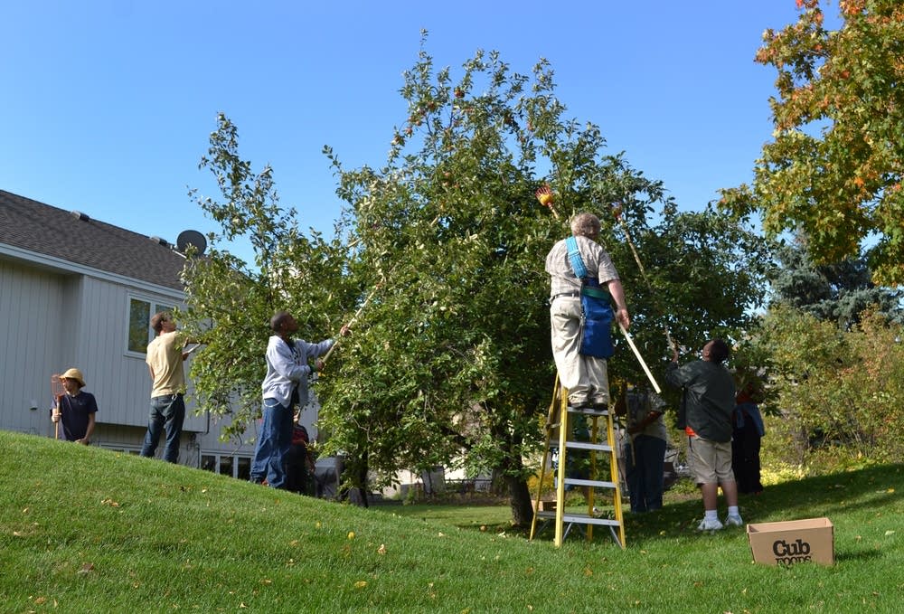Volunteers
