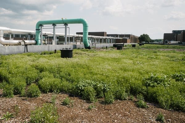 A odor control tube releases under a biofilter. 