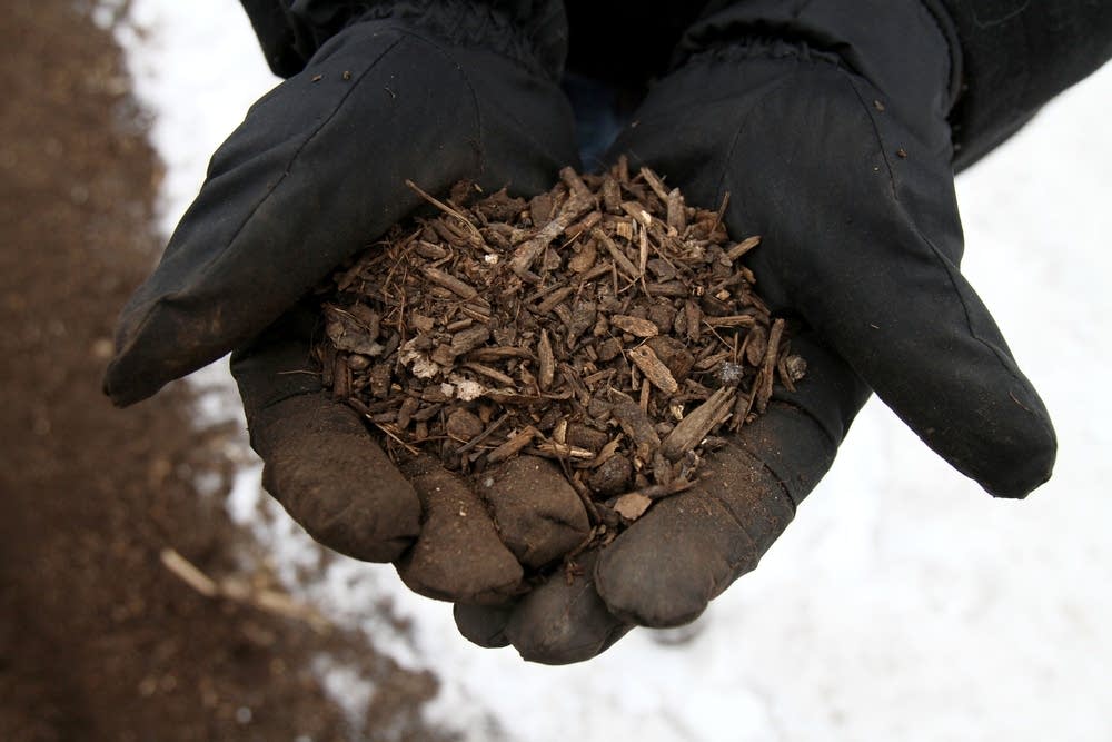 Compost