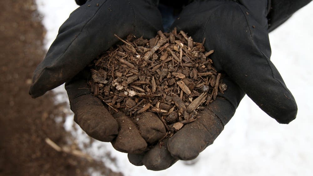 Citywide curbside composting coming to Minneapolis MPR News