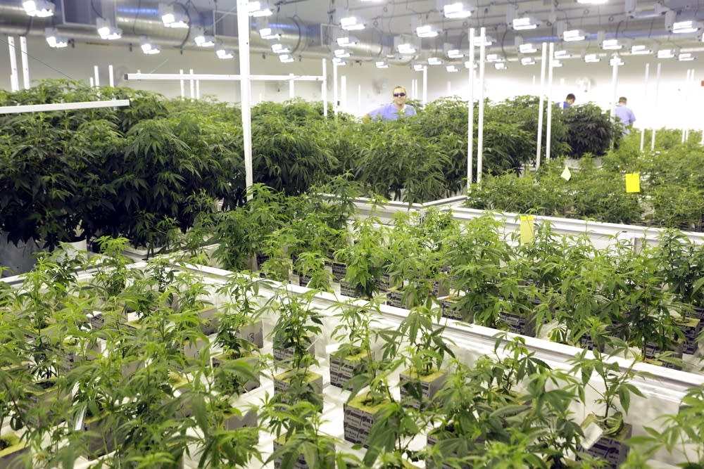 LeafLine Labs