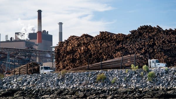 In a plan outlined by researchers at the University of Georgia forestry school, companies would buy carbon credits from local foresters to offset their own emissions.