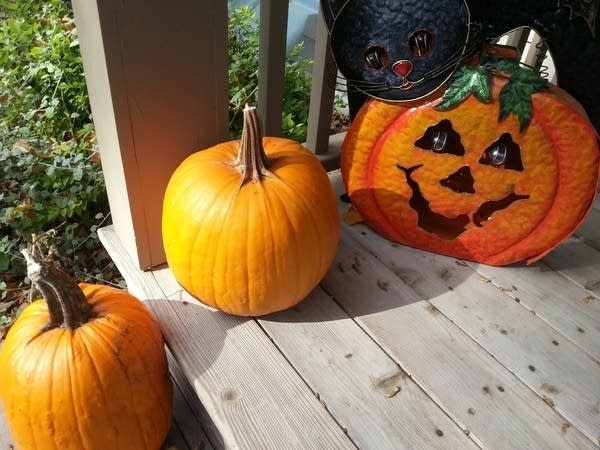 577 ph pumkins