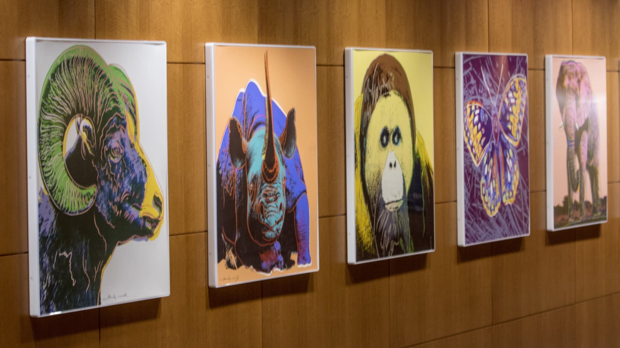 Photos A walk through Mayo Clinic's healing art Minnesota Public