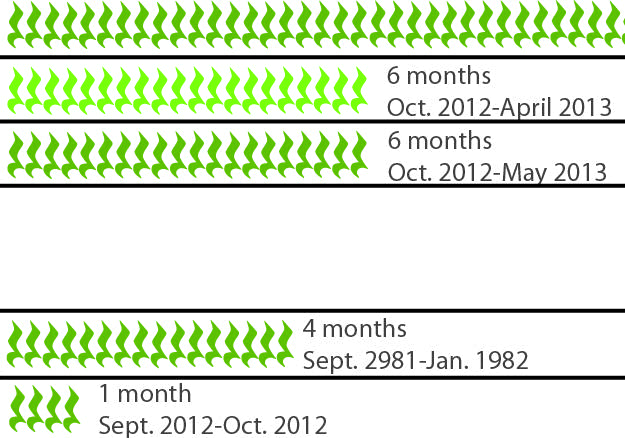 Infographic detail