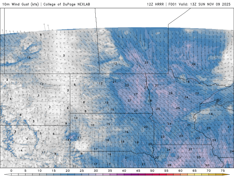 Wind speed and direction for Sunday 7 a.m. to Monday 7 a.m.