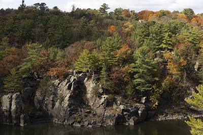 Fall trees grow along a bluff.