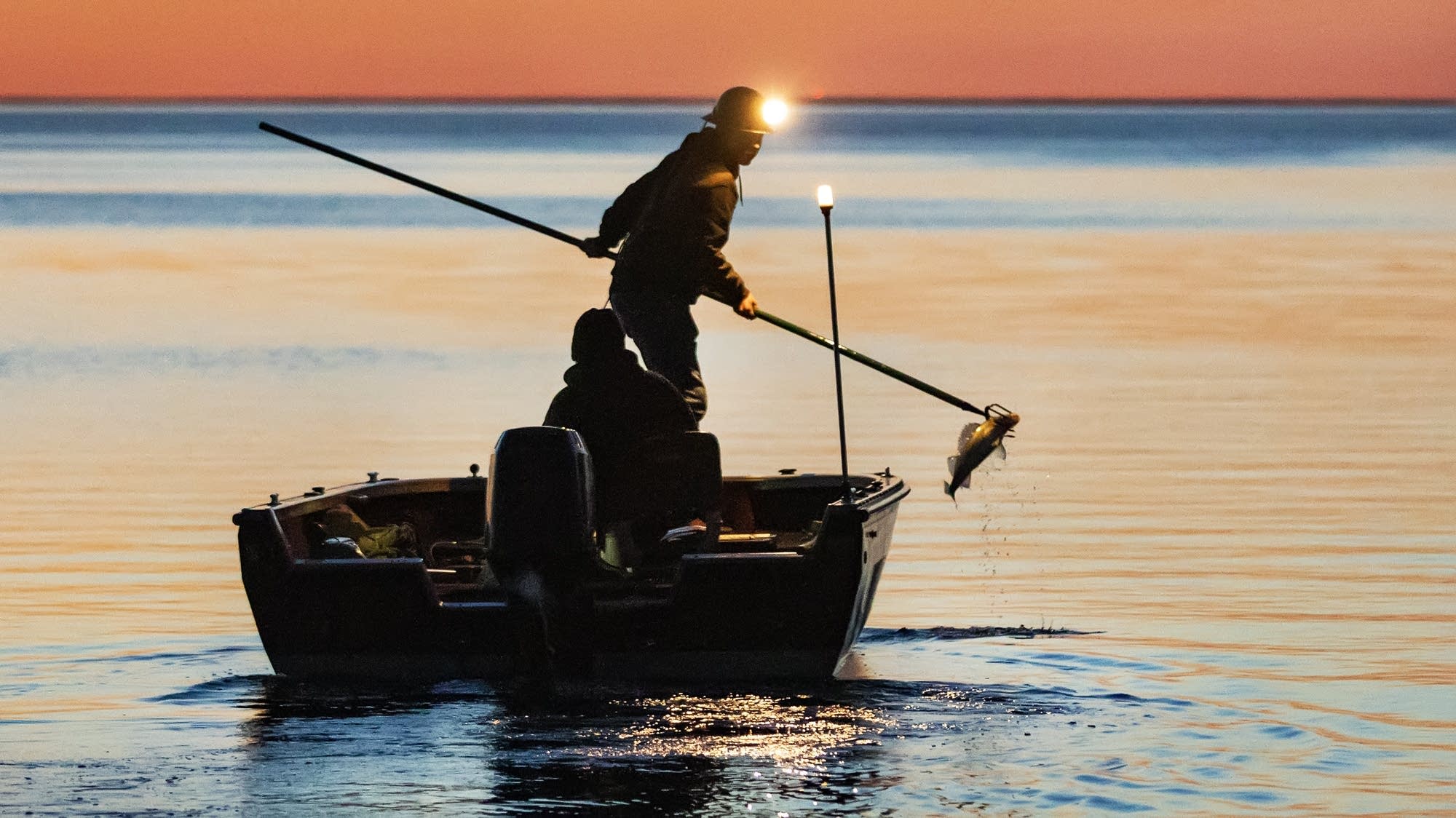 Tribes’ spring fish harvest provides food, preserves culture MPR News