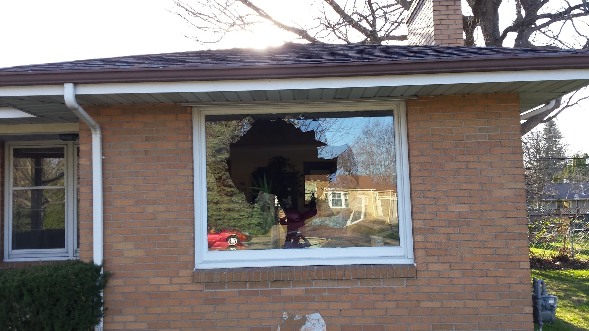 A turkey crashed through Liz Moran's window
