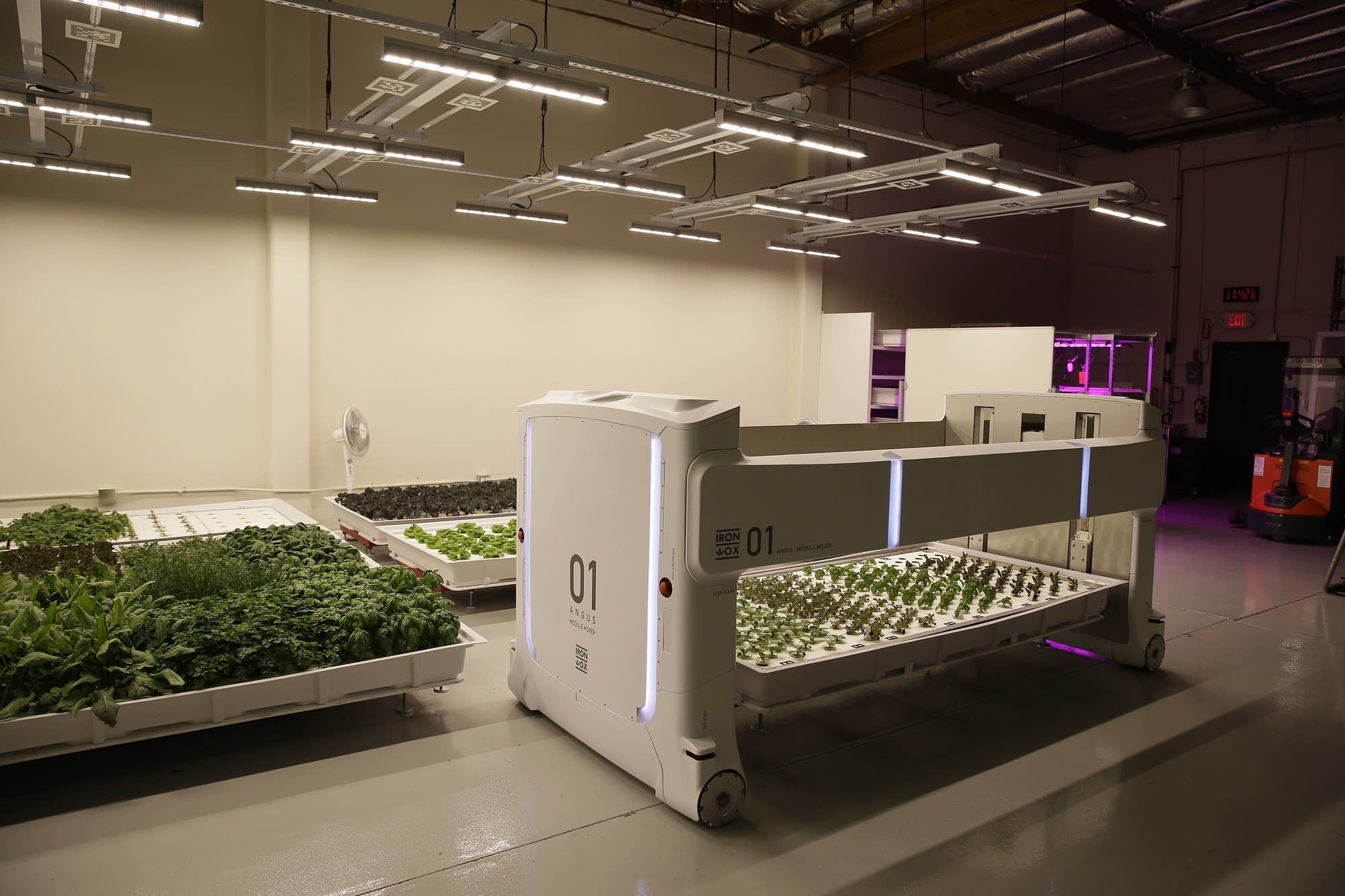 The mover robot called Angus transports plants being grown at Iron Ox.