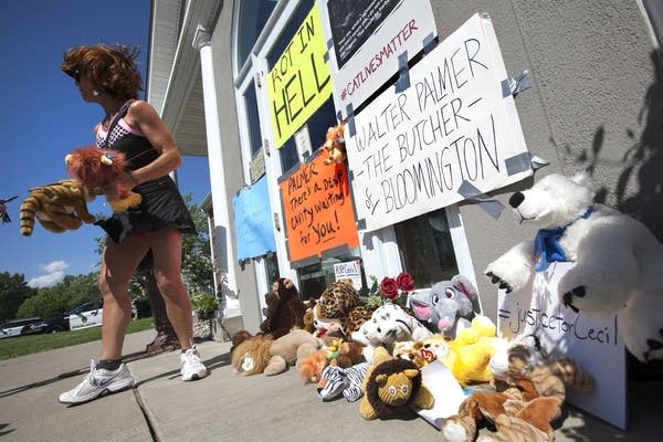 Protesters put up signs and left stuffed animals.