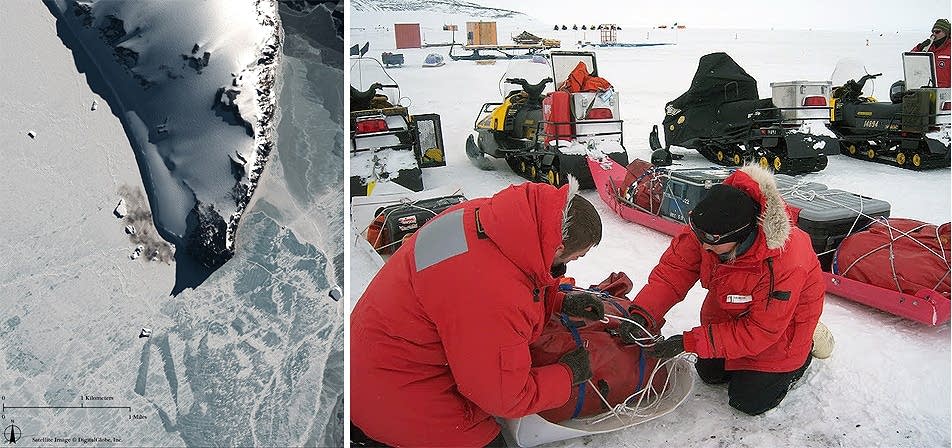 Penguin researchers
