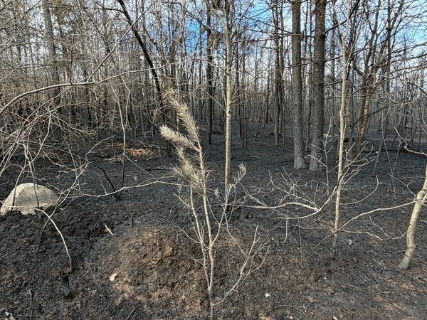 Damage from a fire-4
