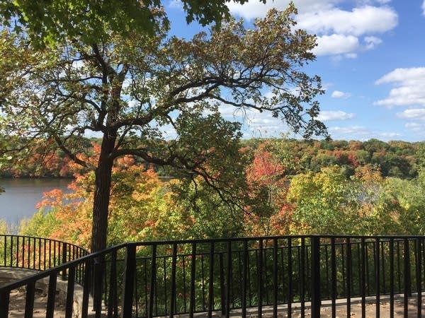 Sunday thunderstorm chances highest in northern Minnesota; Wednesday looks wet