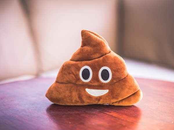 poop pillow