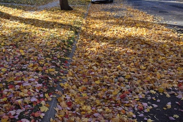 Best rain and flake chances in northern Minnesota this weekend