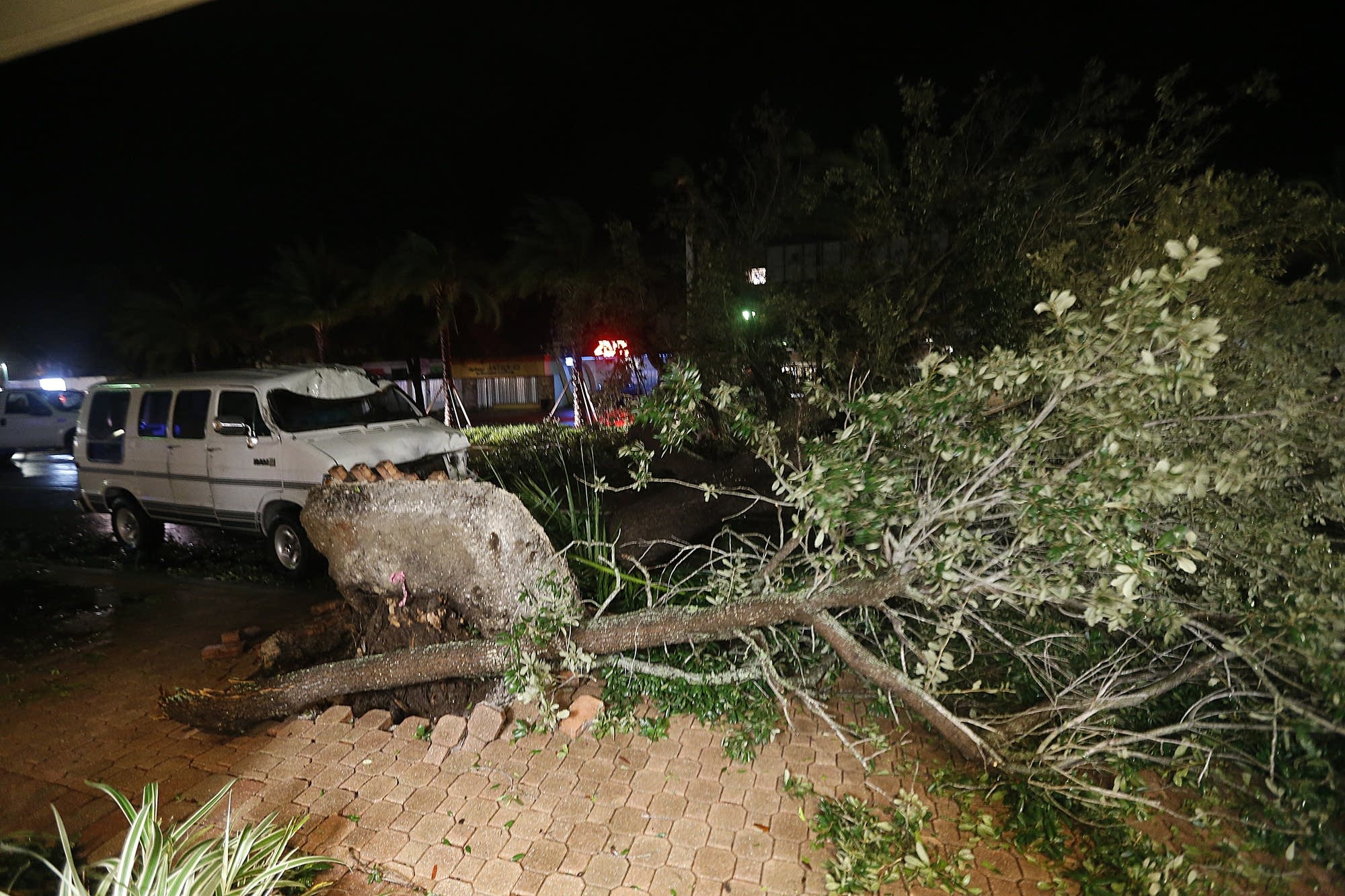 A downed tree lies across Cape Coral Parkway.