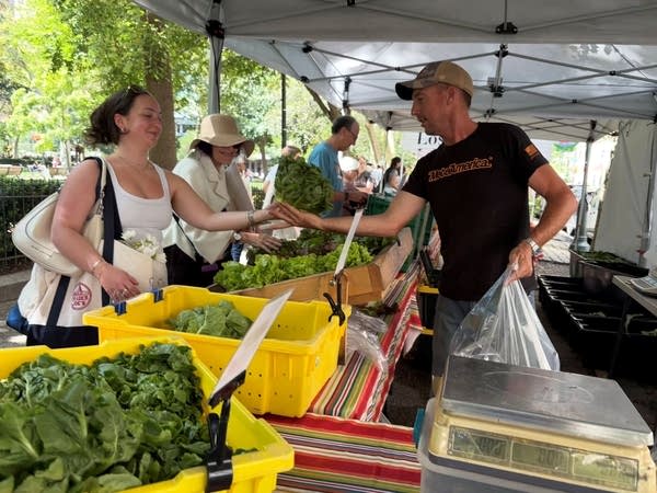 Customer buying lettuce at farmers' market stand