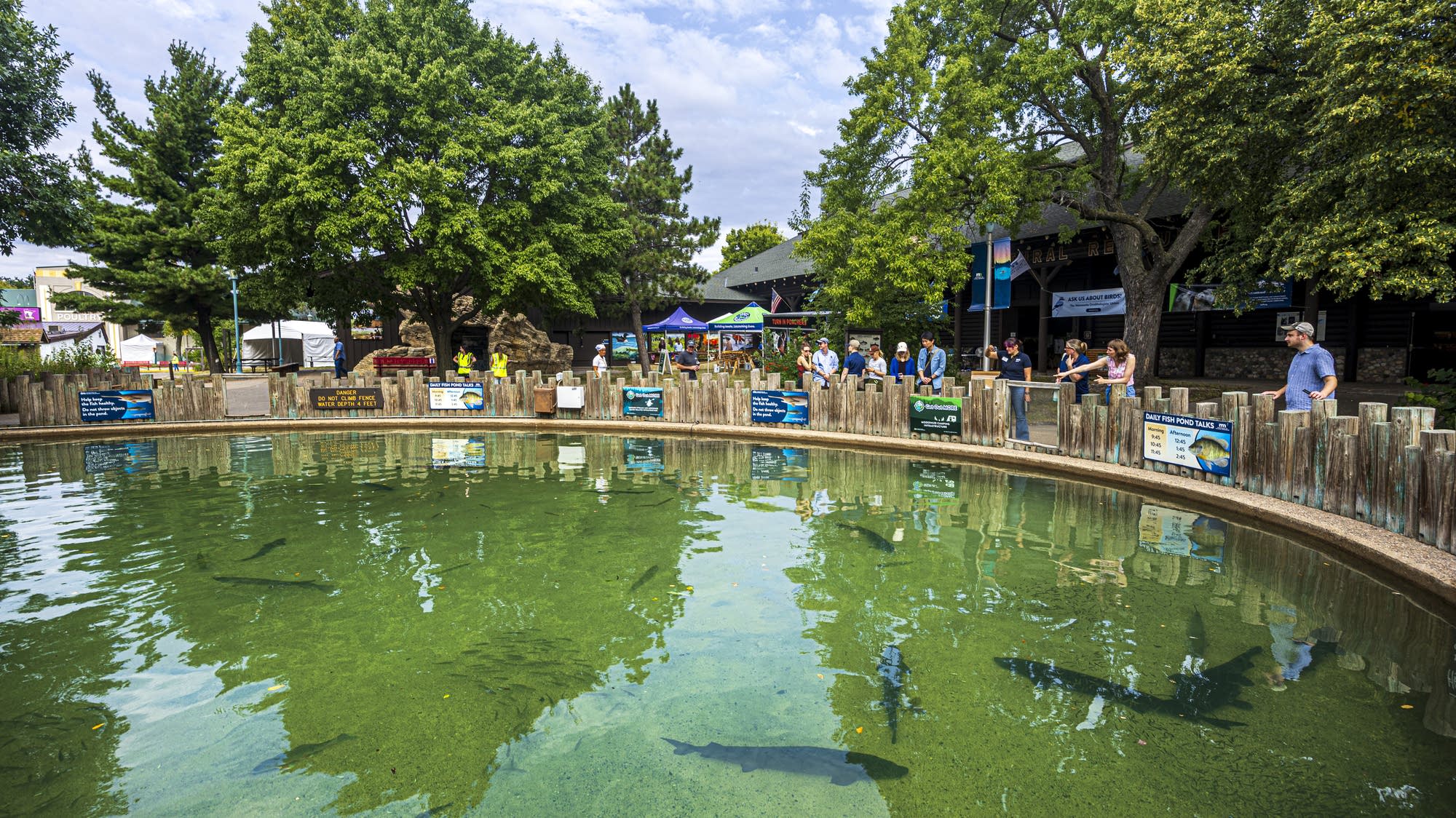 Hundreds of native fish arrive at the State Fair pond