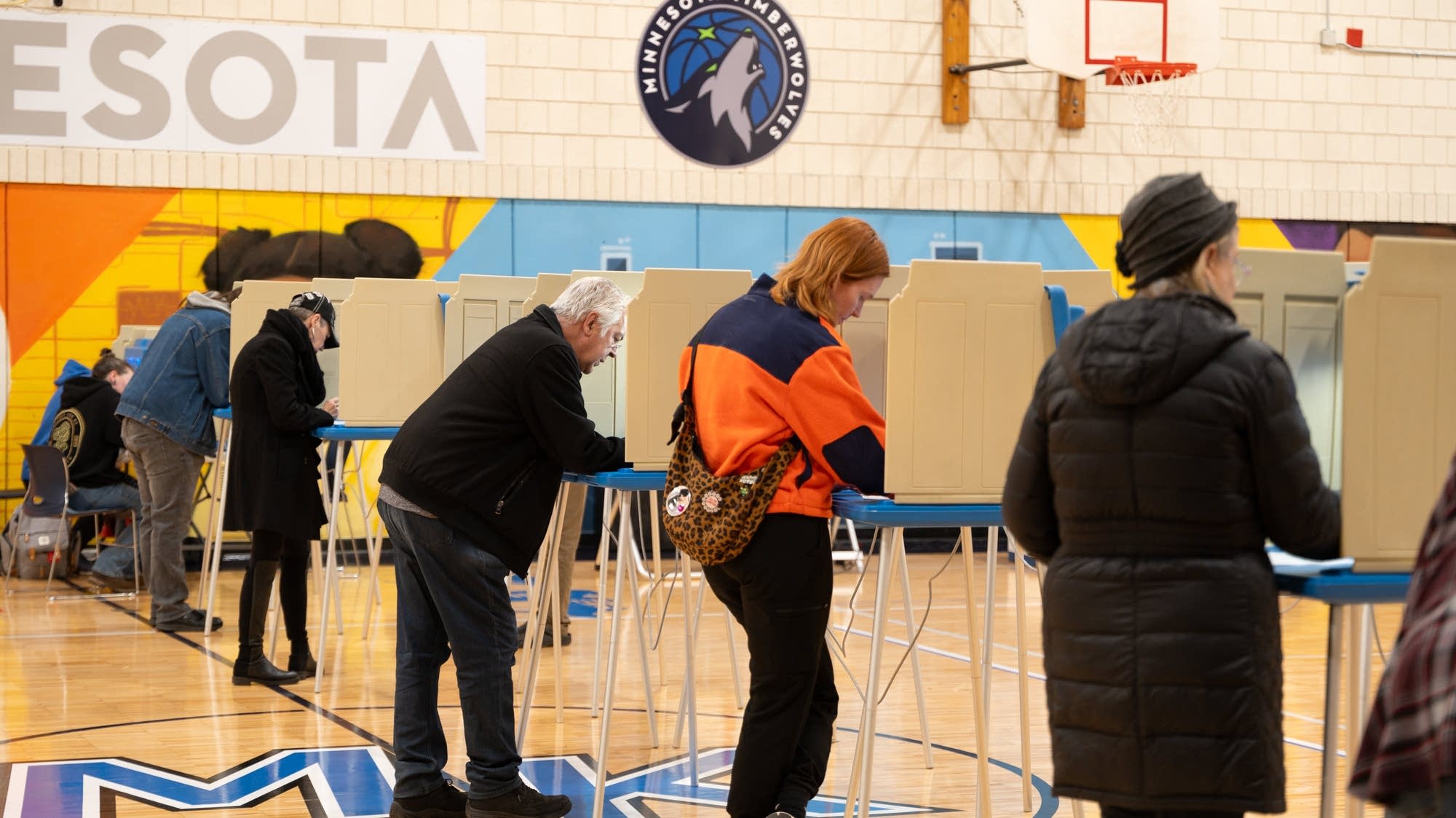 What it takes to make elections secure and accessible