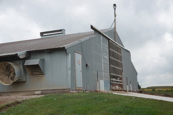 Exterior of a large, gray barn that holds turkeys with a metal gate on the front.