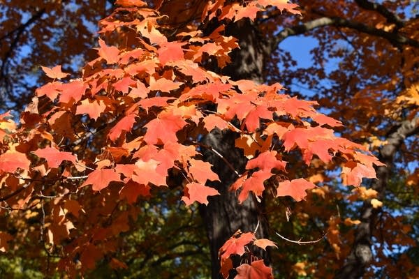 A warm and breezy Saturday
