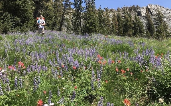 Hiker with wildflowers